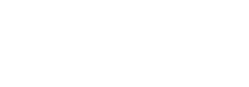 MVM_1